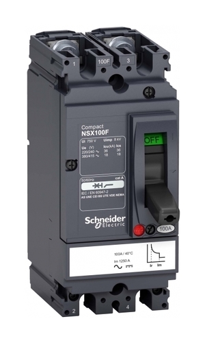 Силовой автомат Schneider Electric Compact NSX, 18кА, 2P, 25А